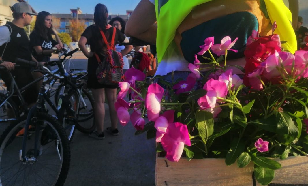 greanpeace_valenzano_Bari03