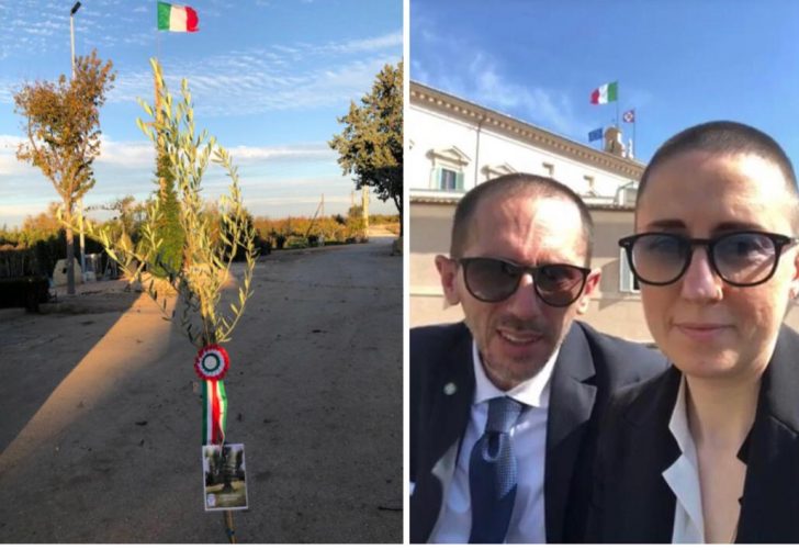 albero_legalita_quirinale
