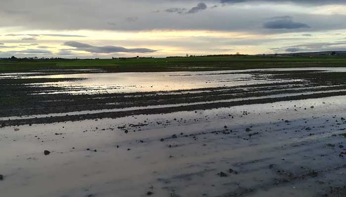 Altamura_campagne_allagate