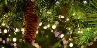Sarà un Natale blindato: niente spostamenti tra Regioni. Stop anche ai movimenti tra Comuni il 25 e 26 dicembre