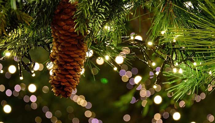 natale_albero_luci