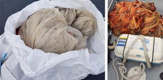 Taranto, operazione della Guardia Costiera ferma pescatori di “bianchetto”