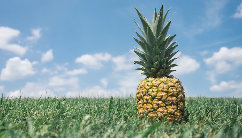 Ananas pineapple