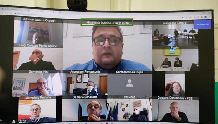 videoconferenza_xylella