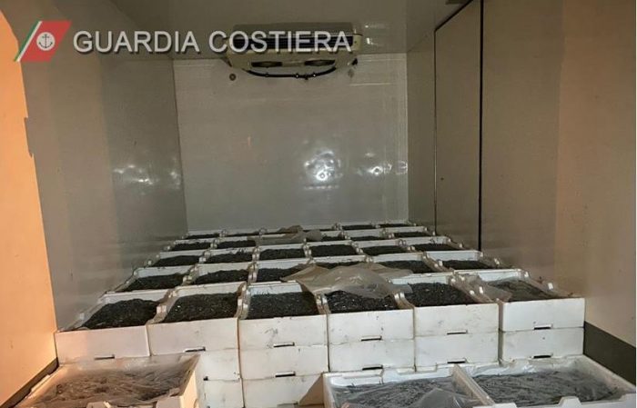 guardia_costiera_sequestro_novellame
