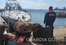 Illeciti ambientali in Puglia: oltre 9.000 controlli e sequestri della Guardia Costiera nel 2026