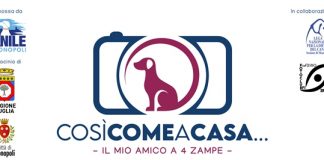 Locandina Contest fotografico Canile di Monopoli 2021