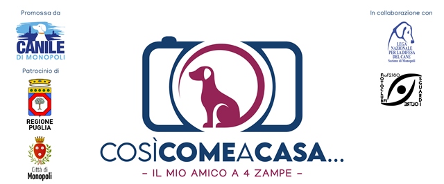 Locandina Contest fotografico Canile di Monopoli 2021