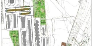 Bari, bosco sociale di Loseto: professionisti e associazioni coinvolte nel percorso partecipativo del progetto