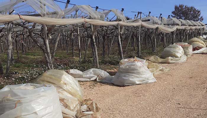 teli_agricoli_plastica