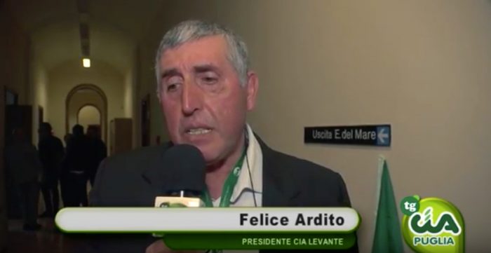 Felice_Ardito_CiaLevante