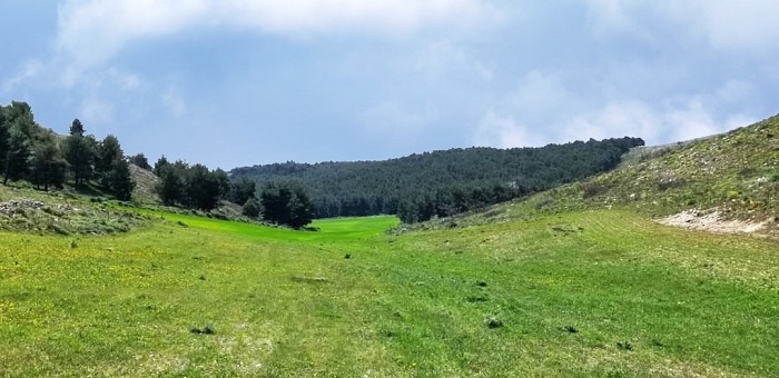 Parco_Alta_Murgia_Bosco_Povera Vita_archivi_ parco