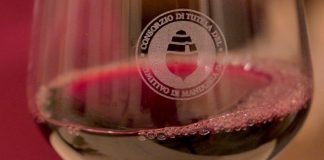 Primitivo di Manduria: ritirata la modifica del disciplinare, ora al via il tavolo di concertazione