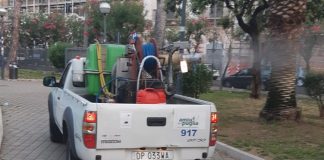 Blatte e zanzare, è emergenza a Bari e dintorni. Scattano i piani straordinari dell’Amiu Puglia