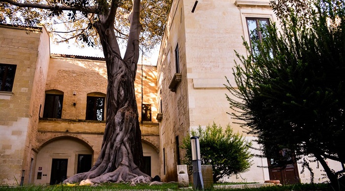 L'ex_Conservatorio_di_S.Anna_e_il_suo_albero_secolare