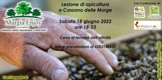 A lezione di apicoltura sulla Murgia con Murgia Enjoy