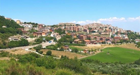 panorama_bovino