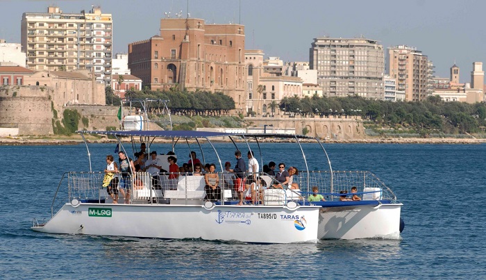 Foto fornite da Jonian Dolphin Conservation (1)