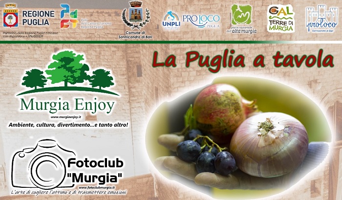 MURGIA-ENJOY