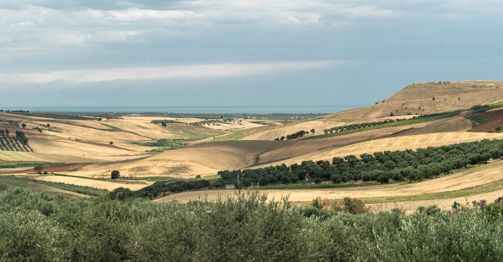 serracapriola-agricoltura