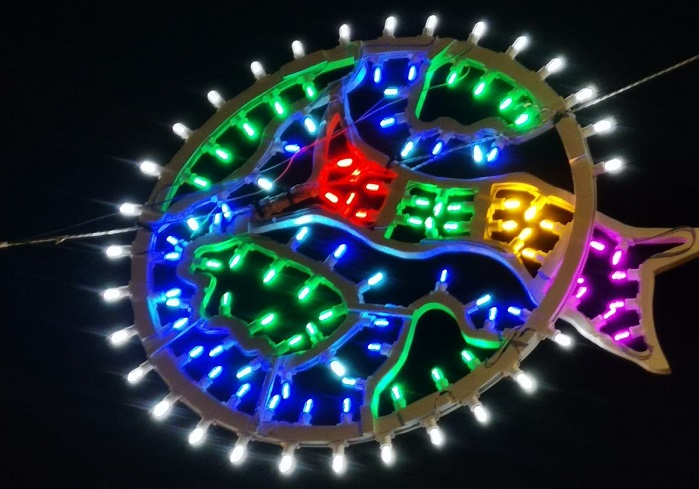 luminarie-caprarica