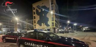 Barletta e Bisceglie: i Carabinieri recuperano due auto rubate