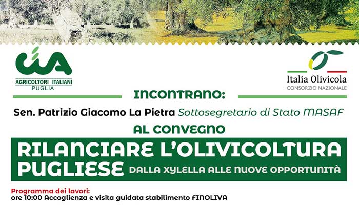 stati generali olivicoltura
