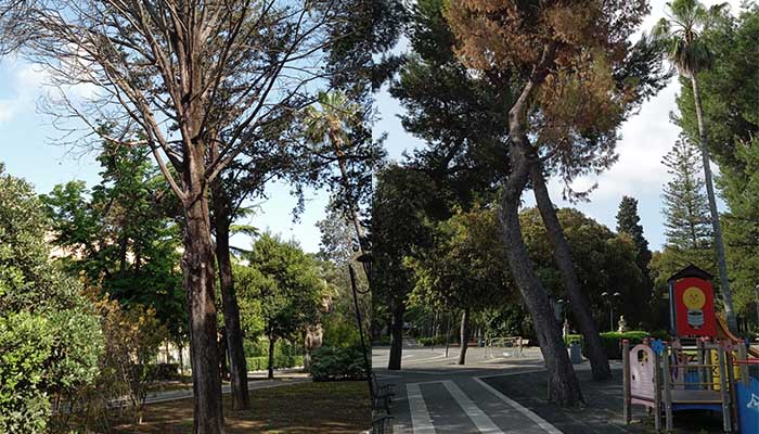 villa lecce alberi