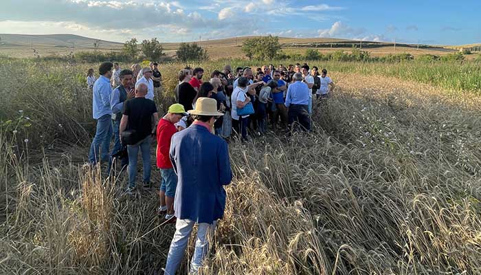 filiera_agricola