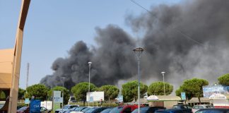 Bari, fiamme in zona Santa Caterina