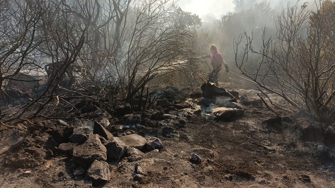 Protezione Civile incendio a Palagianello (2)