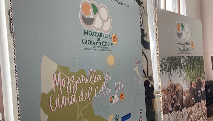 mozzarella gioia del colle dop