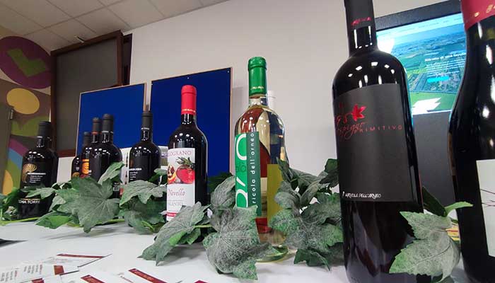 novello in festa