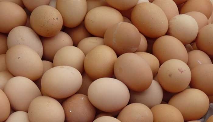 uova-gallina