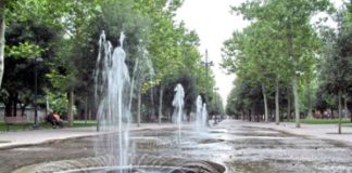 Cerignola, prosegue il programma di manutenzione del verde pubblico