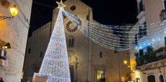 Bari, Maldarizzi Automotive dona l’albero di Natale alla città