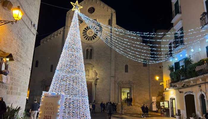 Albero dicembre 2022