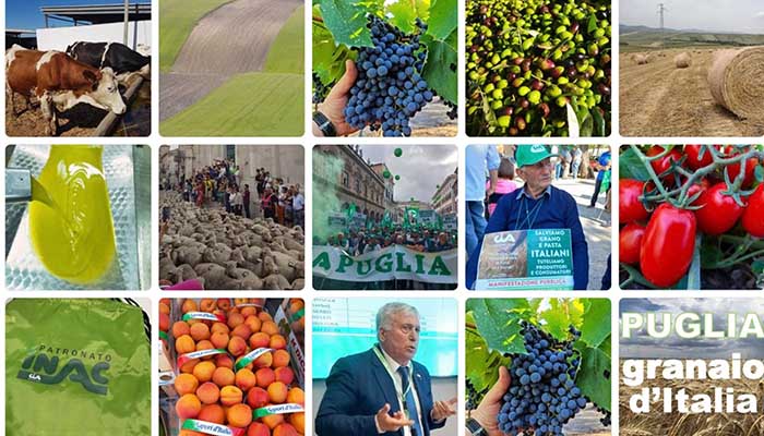 agricoltura Puglia ph