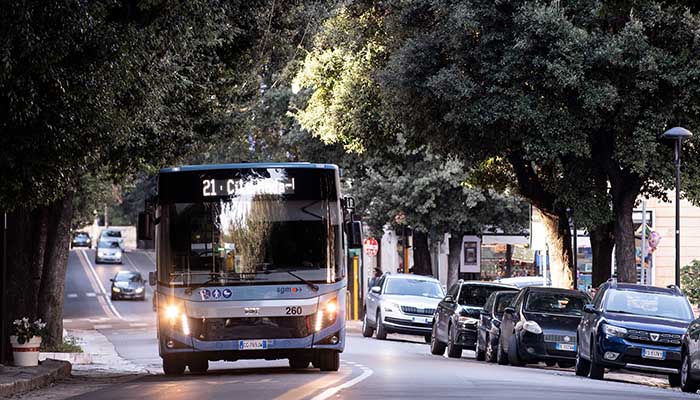 bus sgm 3
