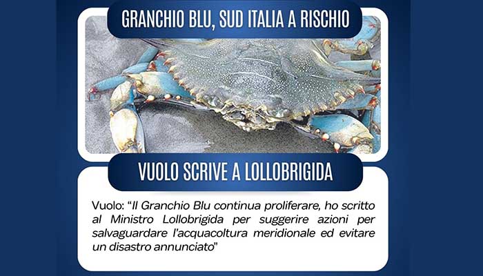 GRANCHIO BLU, SUD ITALIA A RISCHIO - 1
