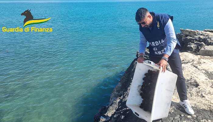 finanza manfredonia mare riccio