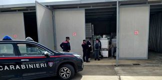Fitofarmaci illegali sequestrati dai Carabinieri nelle campagne di Cerignola