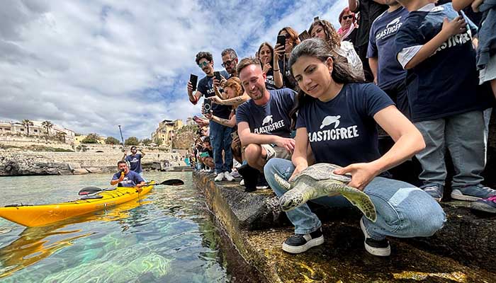 tartaruga plastic free