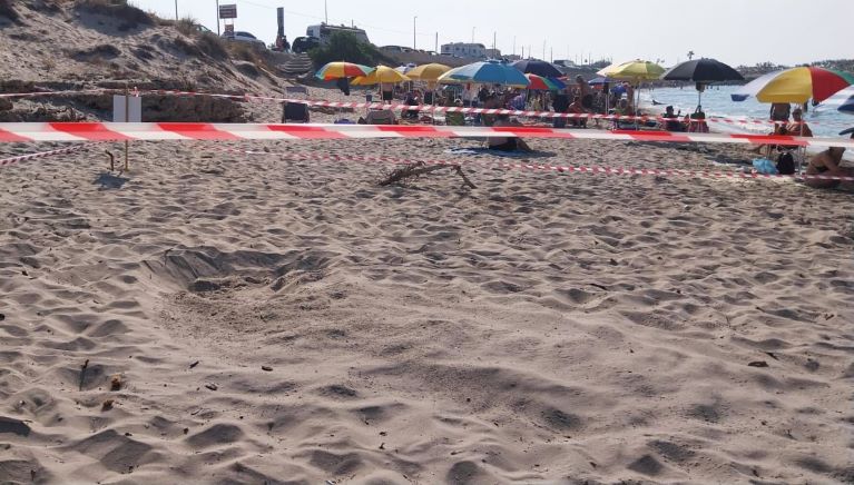 AREA NIDO CARETTA CARETTA