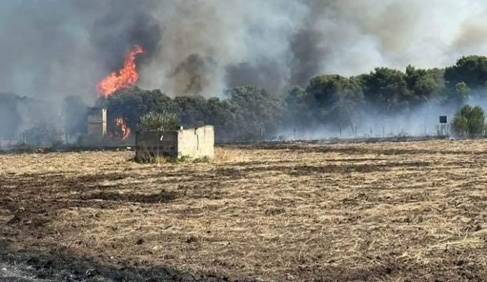 incendio pulsano 2