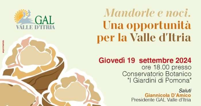 mandorle e noci_1x1