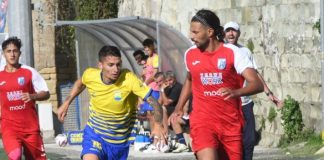 Calcio Serie D: Ischia e Fasano pareggiano per 2-2