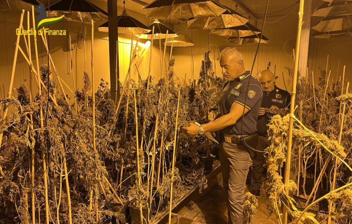 finanza cannabis canosa