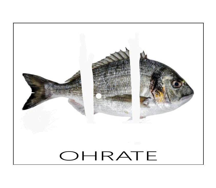 A.Passaro_Ohrate_MICROBA_Bari_