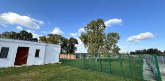 Acquaviva, il Comune ottiene 400 mila euro per il nuovo canile